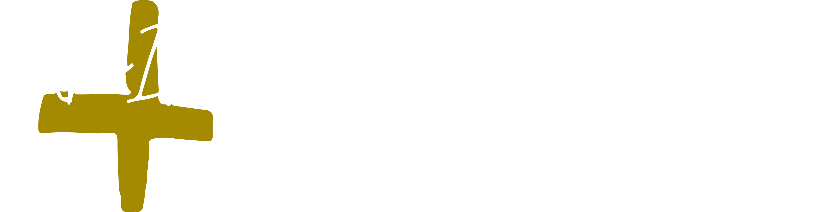 Anointed Remnant International Ministries
